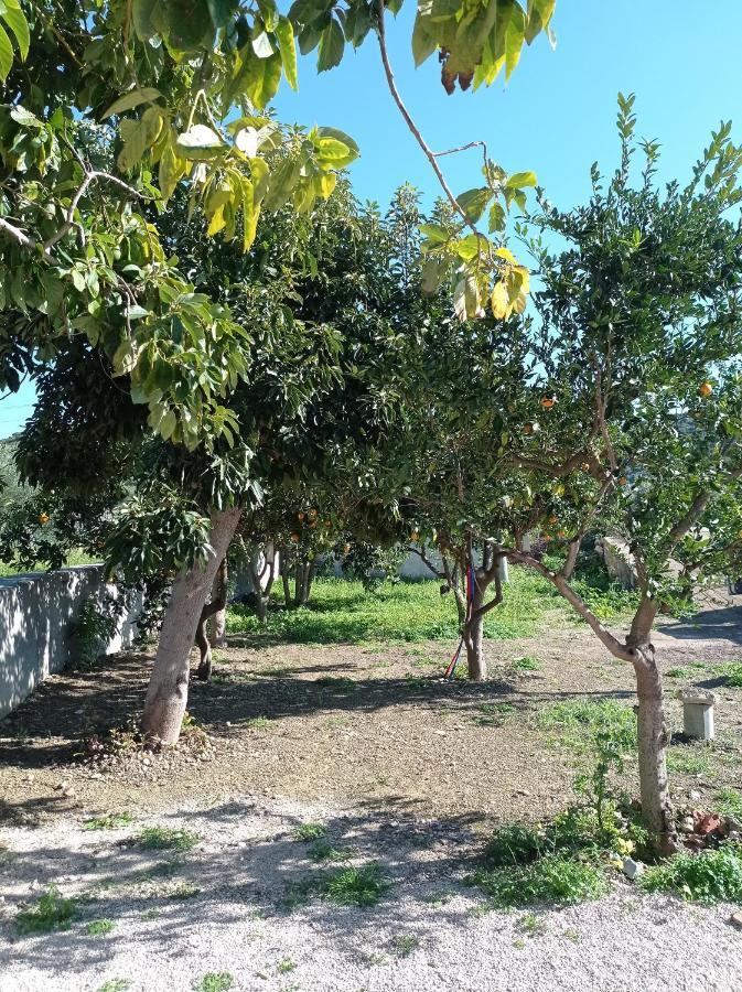 Avocado House Villa Finikounta Luaran gambar