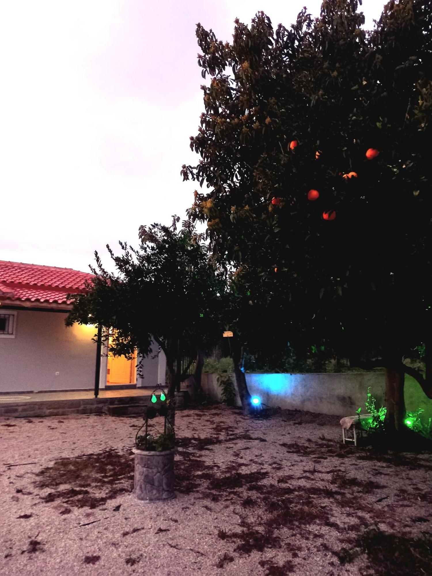 Avocado House Villa Finikounta Luaran gambar